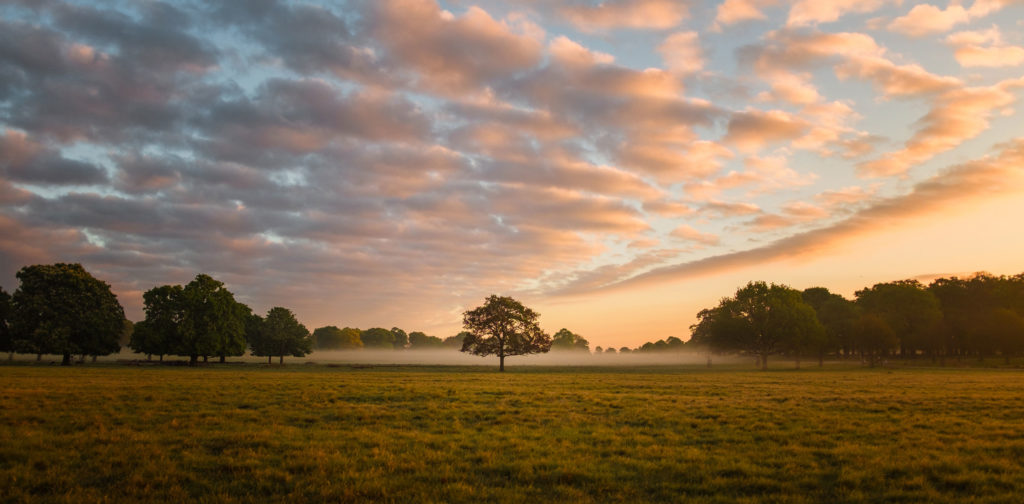 wake up early to be happier